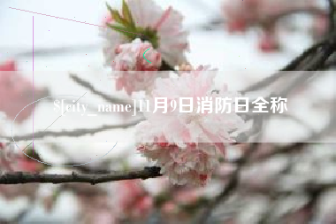 朔州11月9日消防日全称