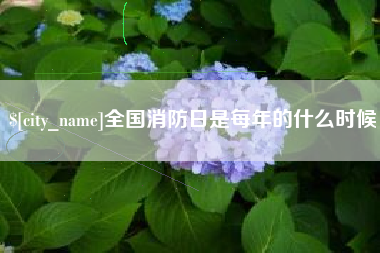 朔州全国消防日是每年的什么时候