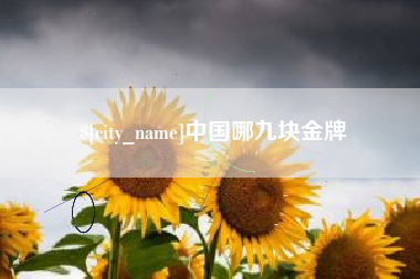 朔州中国哪九块金牌