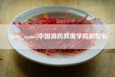 朔州中国消防救援学院副院长