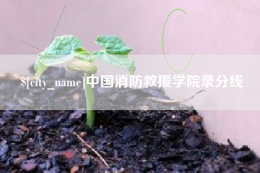 朔州中国消防救援学院录分线