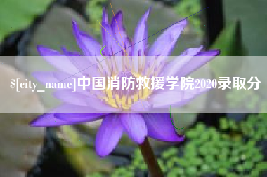 朔州中国消防救援学院2020录取分