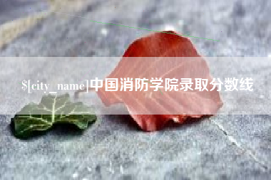 朔州中国消防学院录取分数线