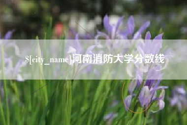 朔州河南消防大学分数线