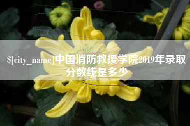 朔州中国消防救援学院2019年录取分数线是多少