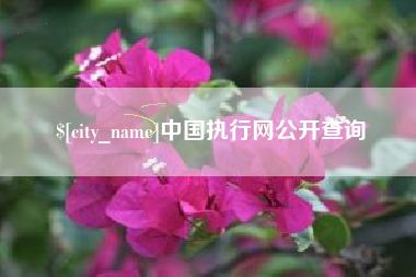 朔州中国执行网公开查询