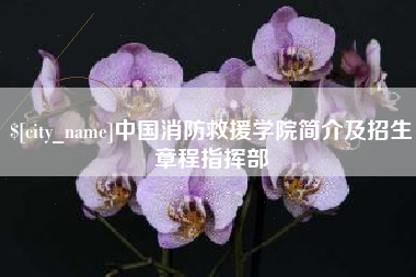 朔州中国消防救援学院简介及招生章程指挥部