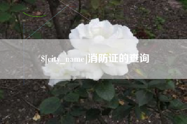朔州消防证的查询