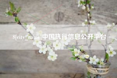 朔州中国执行信息公开平台
