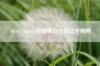 朔州中国执行信息公开网网