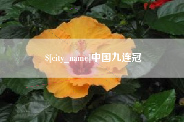 朔州中国九连冠