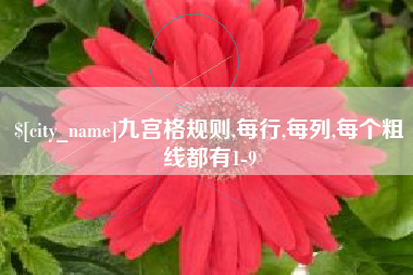 朔州九宫格规则,每行,每列,每个粗线都有1-9