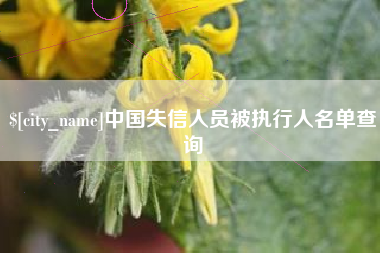 朔州中国失信人员被执行人名单查询
