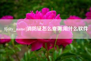 朔州消防证怎么查询,用什么软件