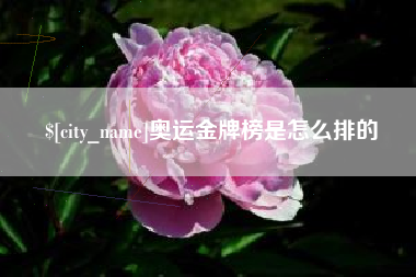 朔州奥运金牌榜是怎么排的