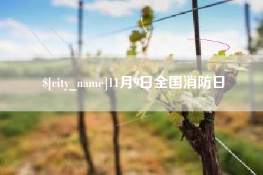 朔州11月9日全国消防日