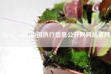 朔州中国执行信息公开网网站官网