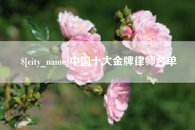 朔州中国十大金牌律师名单