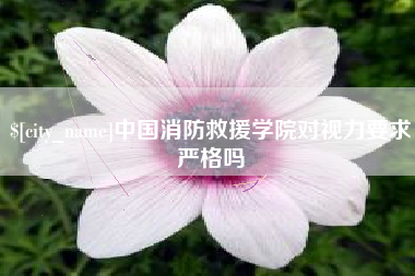 朔州中国消防救援学院对视力要求严格吗