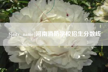 朔州河南消防学校招生分数线