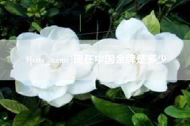 朔州现在中国金牌是多少
