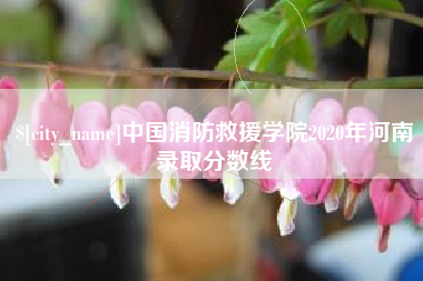 朔州中国消防救援学院2020年河南录取分数线