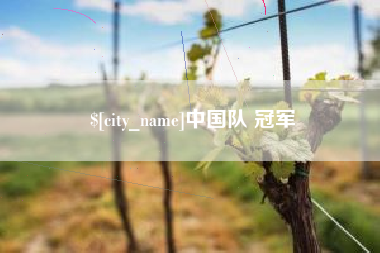 朔州中国队 冠军