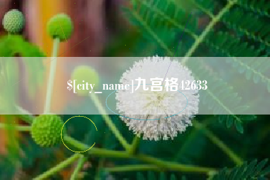 朔州九宫格42633