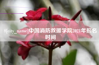 朔州中国消防救援学院2021年报名时间