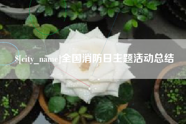 朔州全国消防日主题活动总结