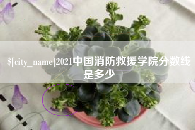 朔州2021中国消防救援学院分数线是多少