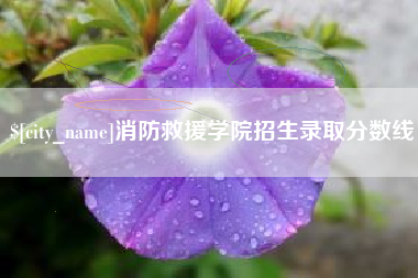 朔州消防救援学院招生录取分数线