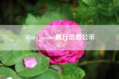 朔州执行信息公示