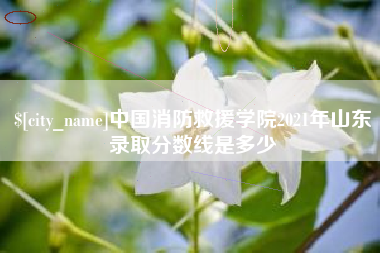 朔州中国消防救援学院2021年山东录取分数线是多少