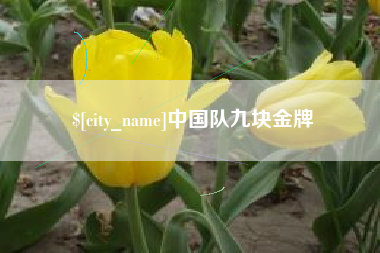 朔州中国队九块金牌
