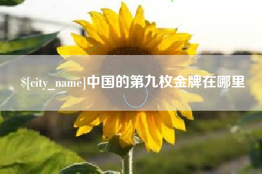 朔州中国的第九枚金牌在哪里