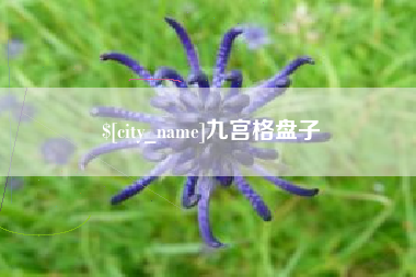 朔州九宫格盘子