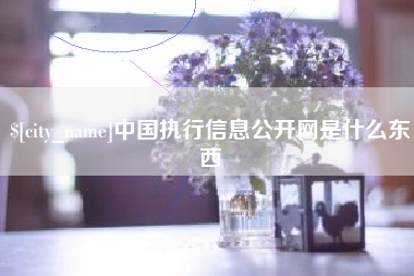 朔州中国执行信息公开网是什么东西