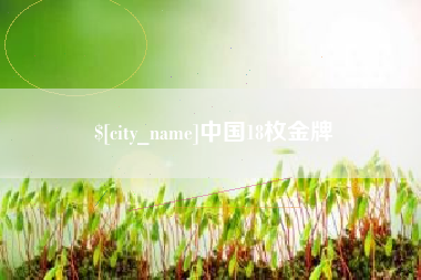 朔州中国18枚金牌