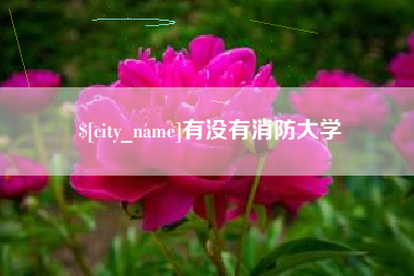 朔州有没有消防大学