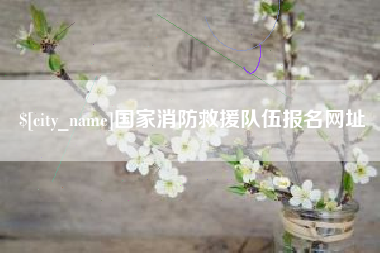 朔州国家消防救援队伍报名网址