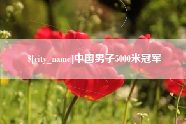 朔州中国男子5000米冠军