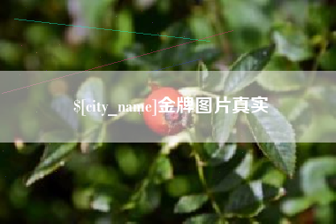 朔州金牌图片真实