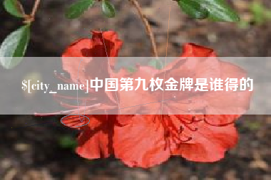 朔州中国第九枚金牌是谁得的