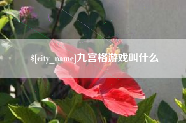 朔州九宫格游戏叫什么