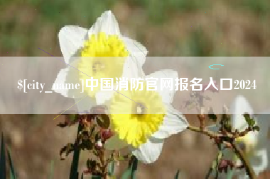朔州中国消防官网报名入口2024