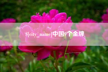 朔州中国9个金牌
