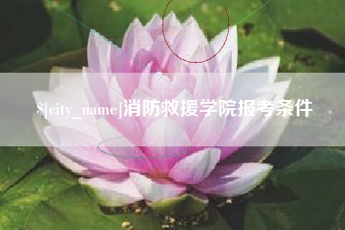 朔州消防救援学院报考条件