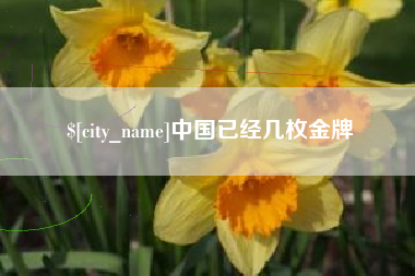 朔州中国已经几枚金牌