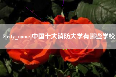 朔州中国十大消防大学有哪些学校